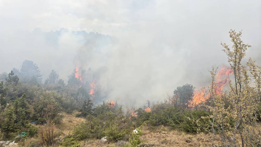 Konya Derbent’te orman yangını çıktı 21
